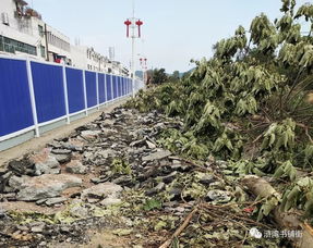 浒湾“一水两岸”景观工程正式启动勘察，打造滨水生态新地标